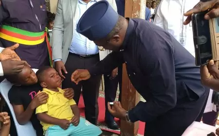 Les pays du bassin du lac Tchad s’unissent pour endiguer la polio