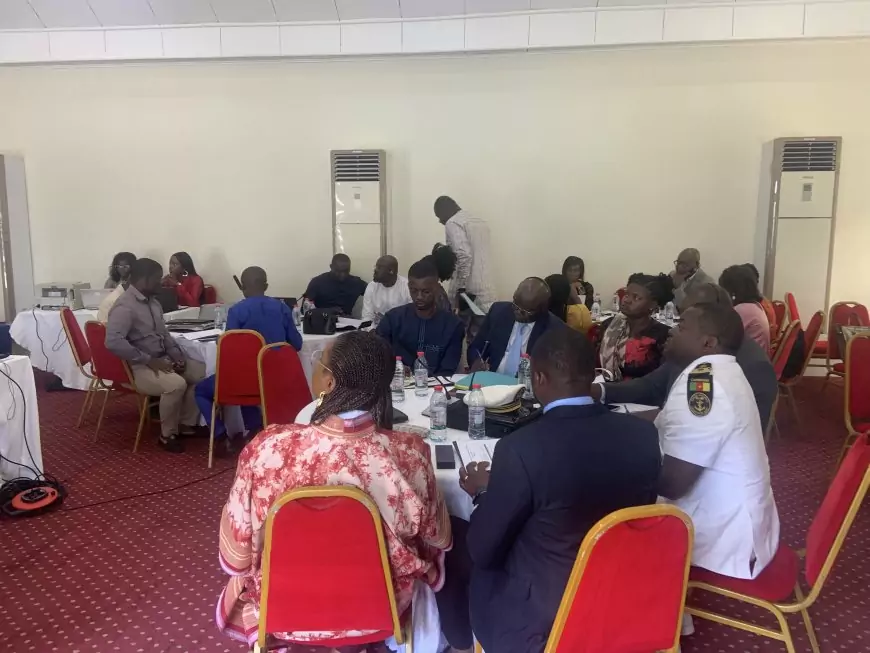 Cameroun : l’OMI et le ministère des transports travaillent ensemble pour une stratégie nationale de réduction des GES dans le milieu maritime