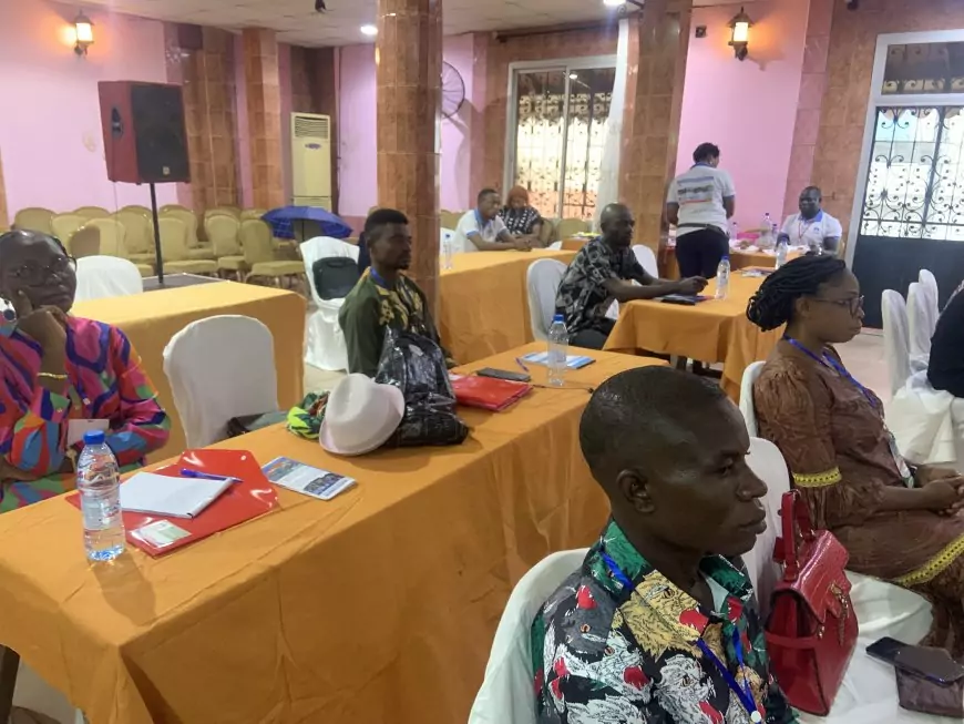 Humanitaires et observateurs internationaux : formation internationale décisive de l’ONG SAFO à Douala