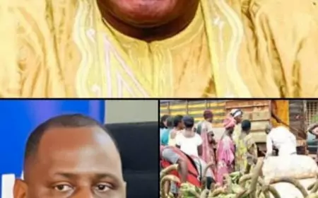 Cameroun : Le Gouverneur du Sud attendu au Centre d’Incubation de la Filière Banane Plantain à Mbebe-Kribi