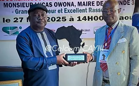 Baobab Africa prize 2025 : Lucas Owona reçoit le prix d'excellence managériales de mairie à yaoundé 3