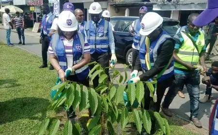 Cameroun / Ville de Douala : CCA Bank SA et la mairie de la ville unissent leurs efforts pour un environnement plus sain