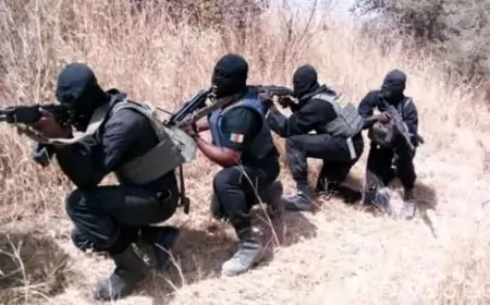 Cameroun / Secrétariat d’État à la Défense charge de la Gendarmerie (SED)/GPIGN : L'âme et la fierté du SED