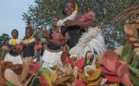 Bikutsi : rythme chaud, vies brisées