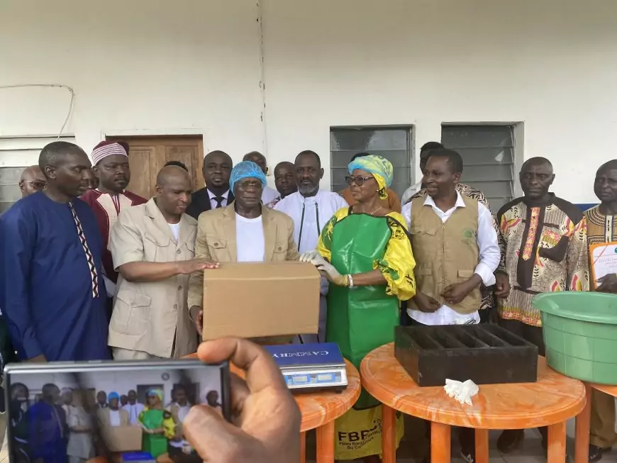 Au Cameroun, Tony Obam mise sur la banane-plantain pour créer des multimillionnaires 