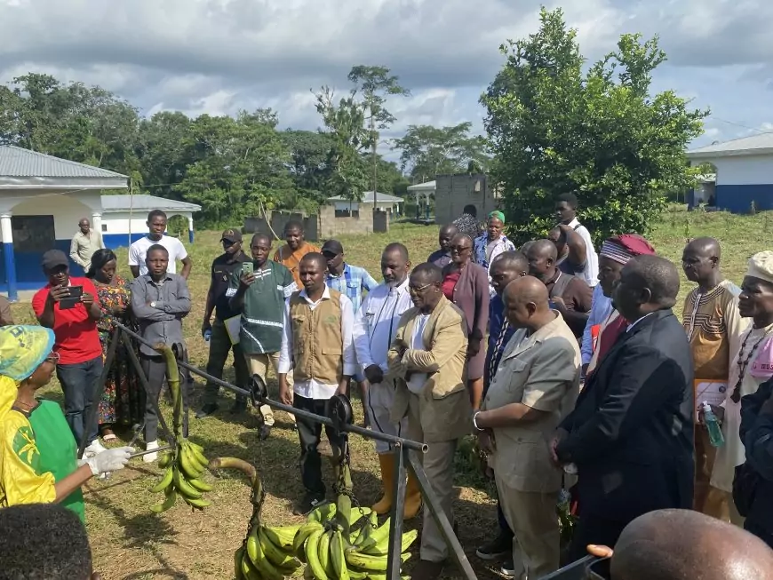 Au Cameroun, Tony Obam mise sur la banane-plantain pour créer des multimillionnaires 