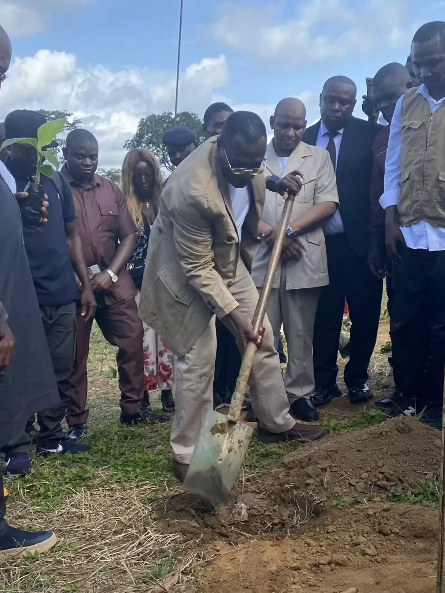 Au Cameroun, Tony Obam mise sur la banane-plantain pour créer des multimillionnaires 
