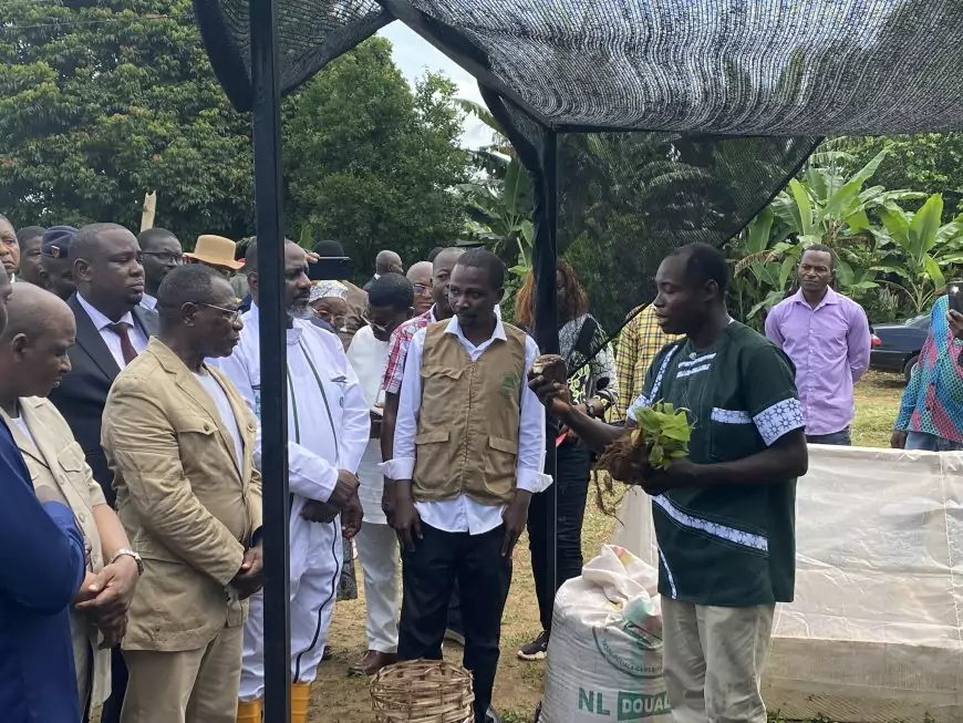 Au Cameroun, Tony Obam mise sur la banane-plantain pour créer des multimillionnaires 