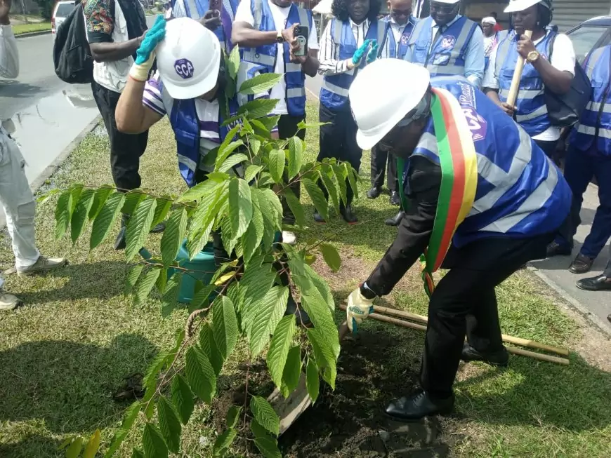 Cameroun / Ville de Douala : CCA Bank SA et la mairie de la ville unissent leurs efforts pour un environnement plus sain