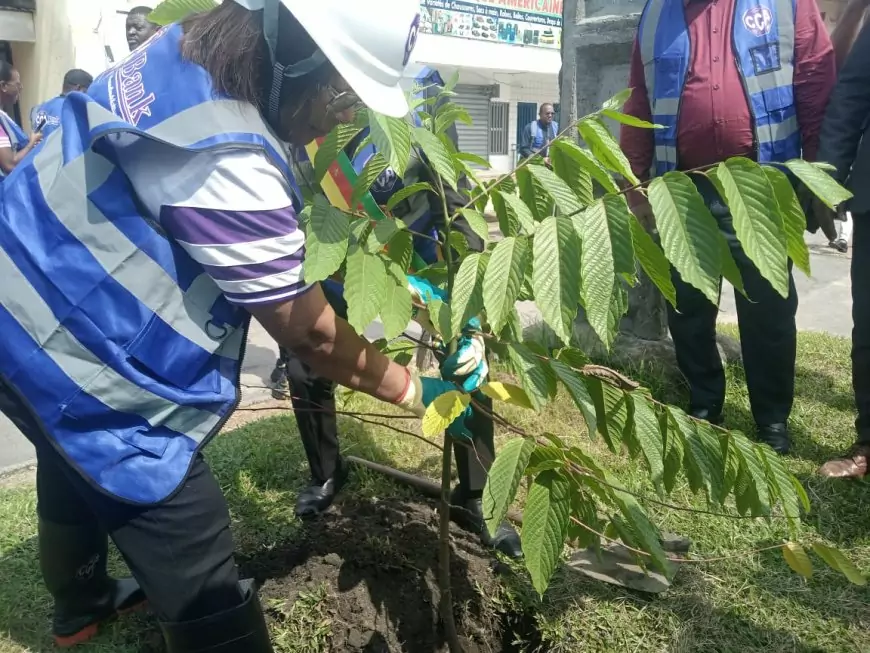 Cameroun / Ville de Douala : CCA Bank SA et la mairie de la ville unissent leurs efforts pour un environnement plus sain