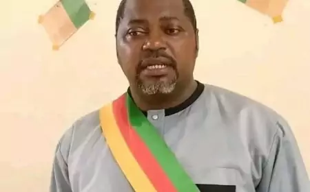 Cameroun : le maire de la commune d’Olanguina est libre