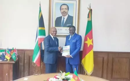 Coopération bilatérale dans le secteur des transports: le Haut-Commissaire d'Afrique du Sud au MINT