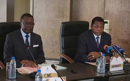 Cameroun / 1ʳᵉ Conférence semestrielle des gouverneurs de régions : Le MINAT appelle la presse à plus de responsabilités pour un climat social apaisé