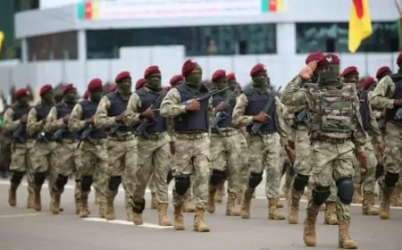 Forces Armées Camerounaises, mérites et frustrations : les nominations du 15 juillet 2025 sous le prisme du devoir et des attentes