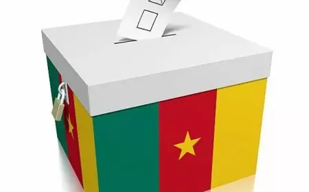 Risque d’embrasement au Cameroun: L’irremplaçable valeur de la paix à l'heure de la présidentielle