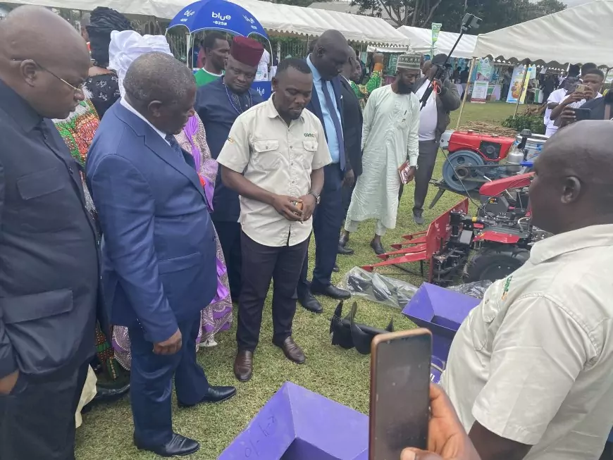 Cameroun : le Festival All Kassava 2025 célèbre le manioc, moteur agricole du futur
