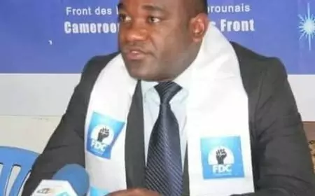 Contentieux Préélectoral au Cameroun : déclaration de Denis Émilien Atangana, Président National du Front des Démocrates Camerounais