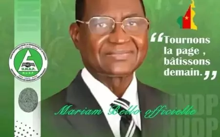 L’UNDP condamne le rejet de la candidature de Maurice Kamto par le Conseil Constitutionnel