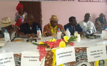Campo - Présidentielle 2025: la victoire de Paul Biya hypothéquée par les cadres du RDPC !