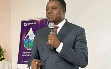 Société d’Etat : Blaise MOUSSA et l'Innovation commerciale à CAMWATER