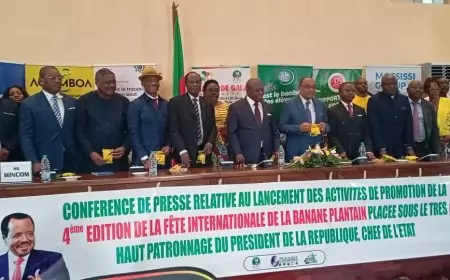 4ème édition de la Fête internationale de la banane-plantain : spécial hommage au Président Paul Biya