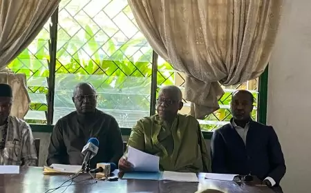 Présidentielle 2025 au Cameroun : l’appel des Forces du changement pour une “transition pacifique” au soir du 12 octobre 2025