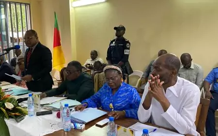 Douala 3ème au Cameroun : l’exécutif communal brille par son dynamisme à mi-parcours 2025