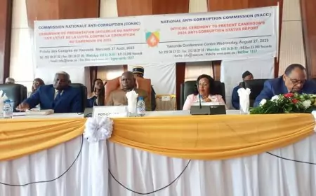Lutte contre la corruption au Cameroun, le préjudice financier est estimé à plus de 4 milliards FCFA pour l'exercice 2024 contre 114 milliards FCFA en 2023.