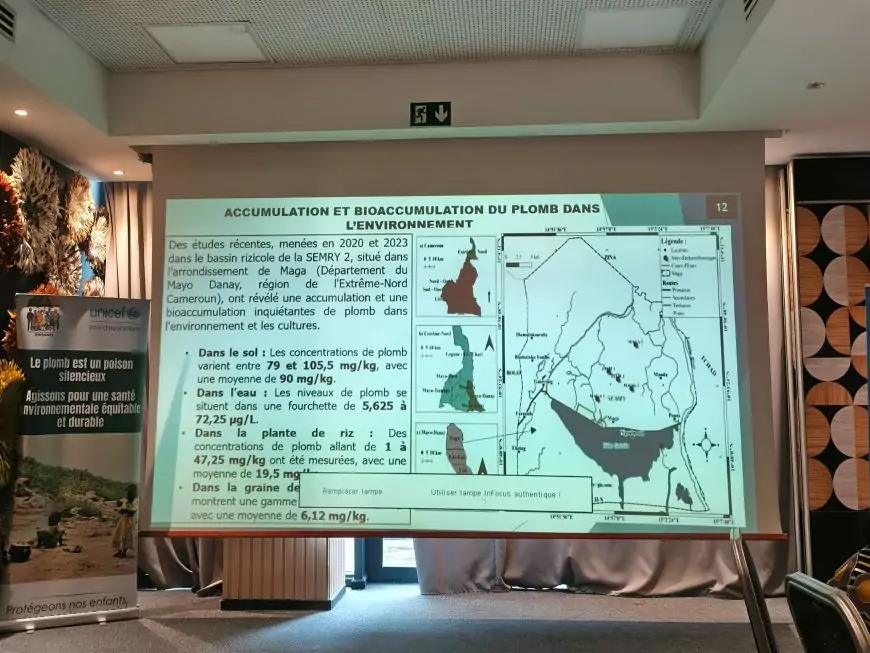 Intoxication au plomb : Une véritable menace pour les enfants du Cameroun