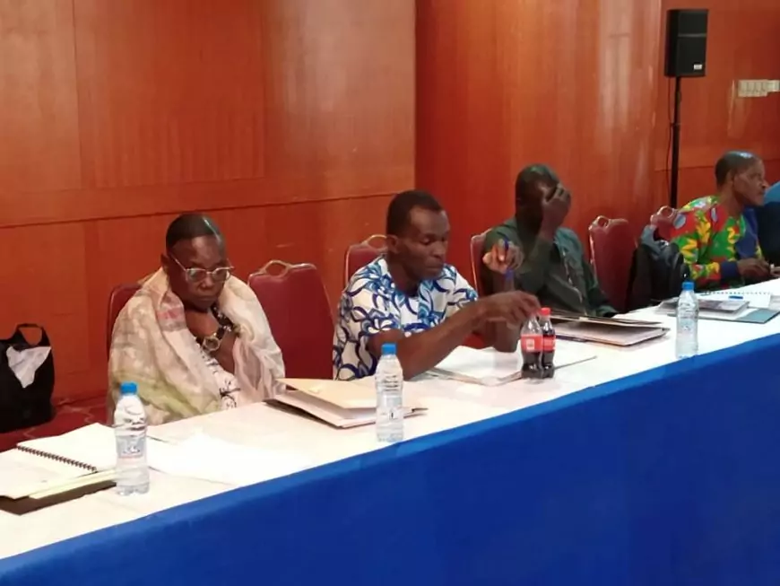 Cameroun - Paralympisme: La Médiathèque Paralympique Nationale du Cameroun entre officiellement en fonction au Comité National Paralympique Camerounais.
