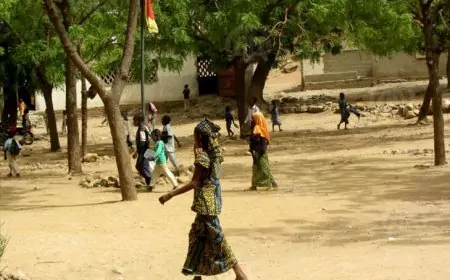 Cameroun / Région de l’Extrême-Nord : La Rentrée Scolaire Sous le Spectre de l'Insécurité