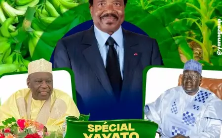 Gabriel Mbaïrobe : le choix stratégique de Paul Biya pour incarner l’État au Festival international de la banane-Plantain