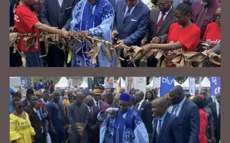 Cameroun : lancement du 4ème Festival international de la banane-plantain à Yaoundé