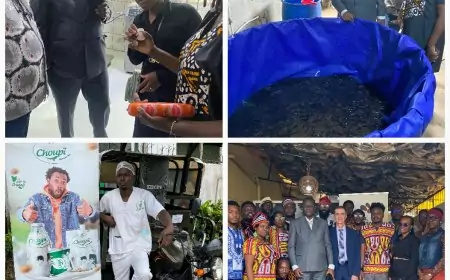 Start-up 237 : la coopération franco-camerounaise fait éclore une nouvelle génération d’entrepreneurs