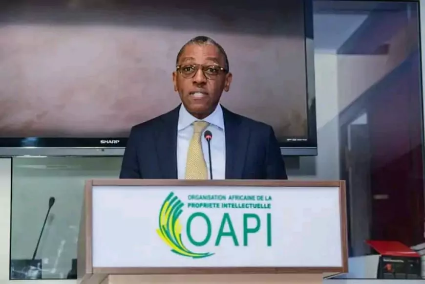 Cameroun: Réunion préparatoire a la 5e édition des Awards de la marque OAPI – Libreville 2025