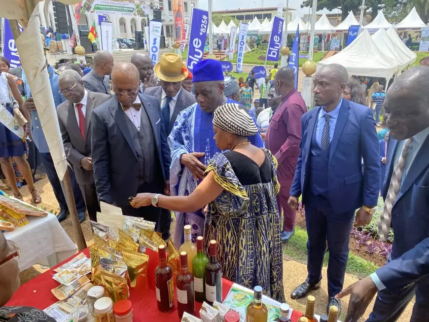 Cameroun : lancement du 4ème Festival international de la banane-plantain à Yaoundé