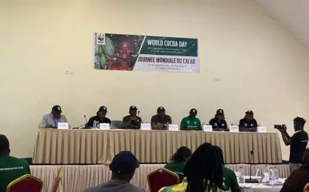 Agriculture : WWF-Cameroon milite pour un cacao durable, rentable et respectueux de la biodiversité