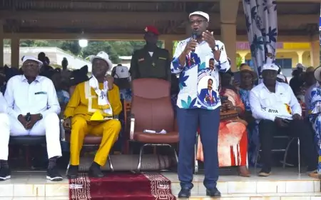 Élection  Présidentielle d'octobre 2025 : Nitoukou s'engage pour le plébiscite de S.E. Paul BIYA