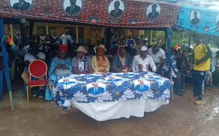 Présidentielle 2025 : Malgré le Déluge, Baliama et Essendé Promettent un 100% au Candidat Paul Biya