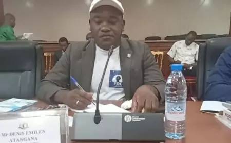 Affaire Hiram Iyodi/Denis Emilien Atangana : le film du représentant du FDC à  la Commission nationale de recensement des votes