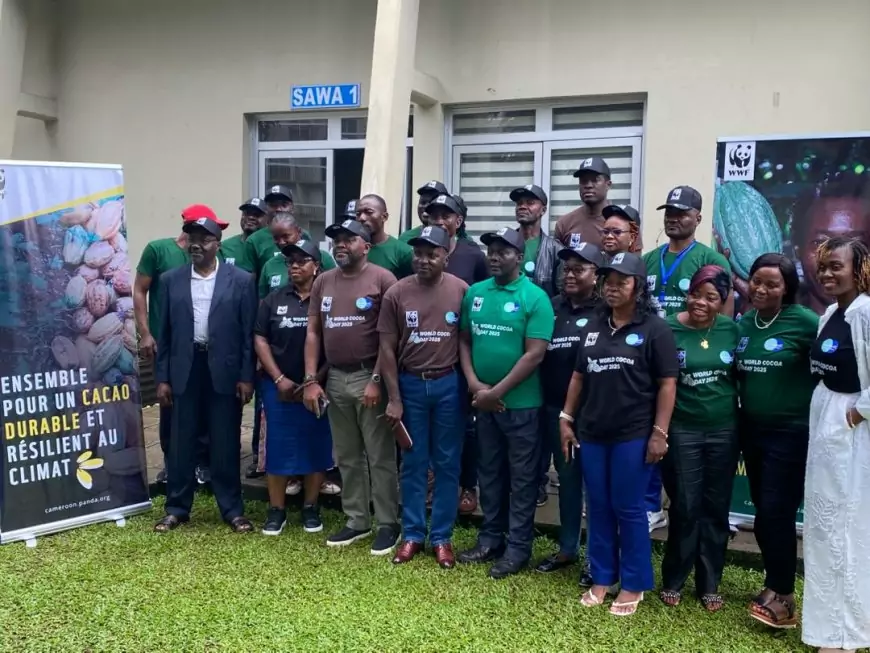 Agriculture : WWF-Cameroon milite pour un cacao durable, rentable et respectueux de la biodiversité