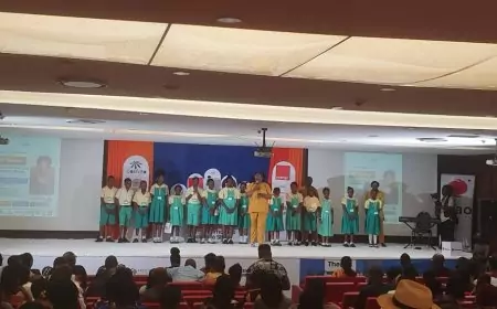 Shirlma Show : 10 millions pour transformer un projet en success story