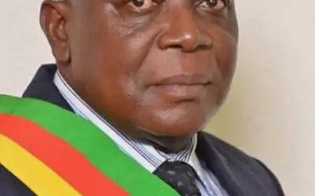 Barrage de Nachtigal :  répondre aux procès en inutilité