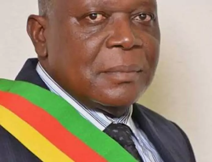 Barrage de Nachtigal :  répondre aux procès en inutilité