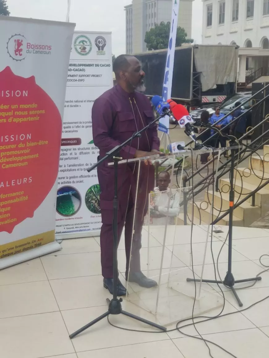 Filière banane-plantain du Cameroun : “Grandeur et espérance”, au service de la jeunesse et des femmes