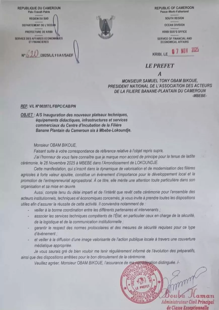 Filière banane-plantain du Cameroun : “Grandeur et espérance”, au service de la jeunesse et des femmes