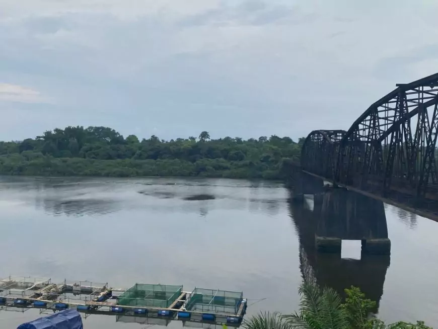 Dibamba au Cameroun : la Communauté urbaine de Douala présente un vaste projet de sauvegarde du fleuve