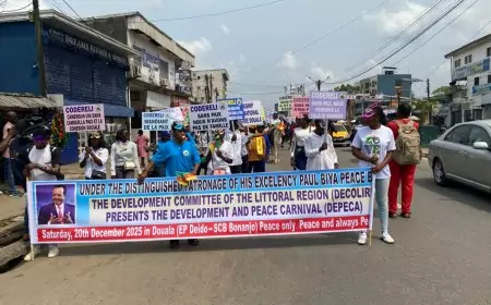 Le Codereli célèbre Paul Biya, “mendiant de la paix”, lors d’un carnaval à Douala
