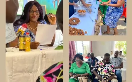 Grâce au All Kassava, le manioc camerounais se positionne en moteur d’industrialisation