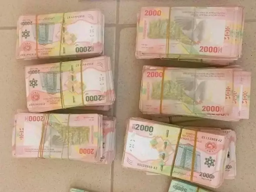 Maroua : 32.594.000f de faux billets saisis par la gendarmerie